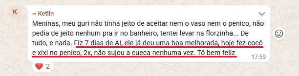 Cocô e xixi no penico, sem sujar a cueca