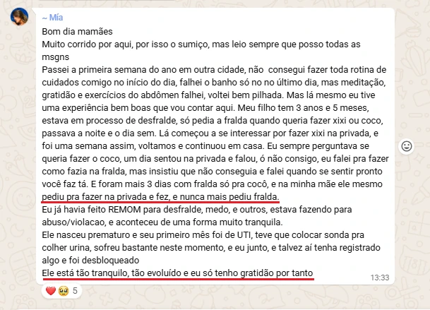 Pediu pra fazer na privada e nunca mais pediu fralda